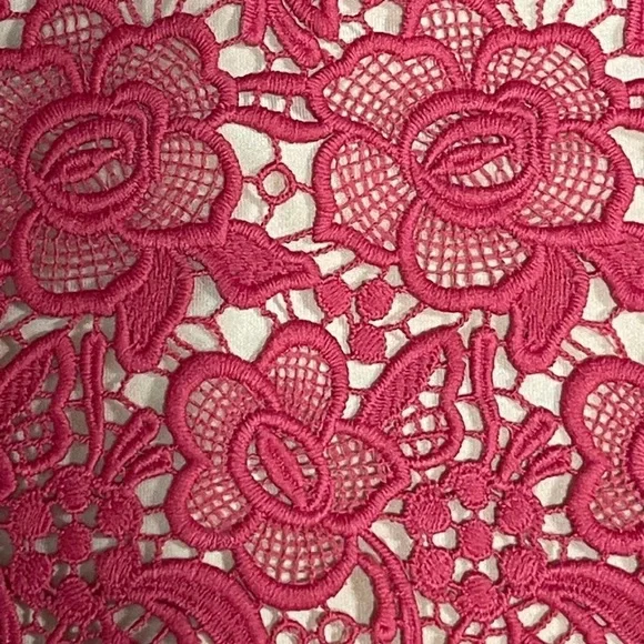 Lovers + Friends Pink Lace Mini Dress - Picture 2 of 5